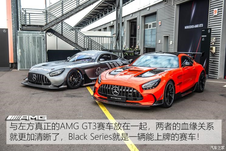 梅赛德斯-AMG AMG GT 2020款 AMG GT Black Series