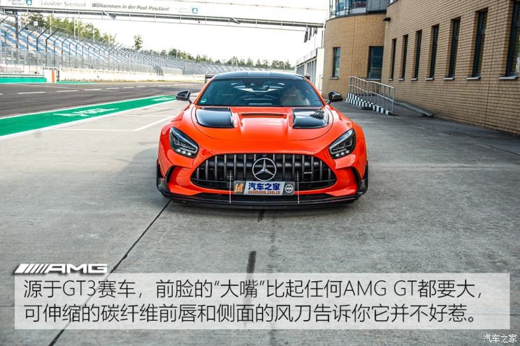 梅赛德斯-AMG AMG GT 2020款 AMG GT Black Series