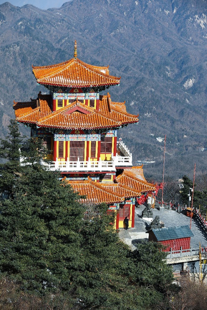 图片9.jpg